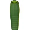 Sea To Summit Ascent Aciii 2 Sea To Summit Ascent Aciii -Trek And Travel Sales AAC3 R AscentAC3SleepingBag Regular 01